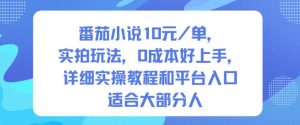 番茄小说10米每单，实拍玩法，0成本好上手，详细实操教程和平台入口适合大部分人-21资源库