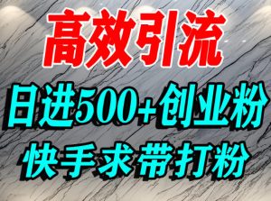 怎么打创业粉?快手求带视角精准引流创业粉,宝妈、学生群体日进500+精准流量-21资源库