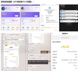 当天能收益的3个小项目拆解_包括平台+操作流程-21资源库