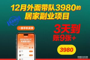 12月外面带队3980的居家副业项目,一部手机实测3天到账9张+,首发教程【揭秘】-21资源库