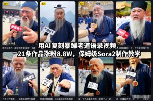 用AI复刻暴躁老道语录视频,21条作品涨粉8.8W,保姆级Sora2制作教学-21资源库