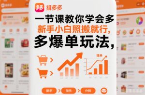 一节课教你学会拼多多爆单玩法,新手小白照搬就行-21资源库