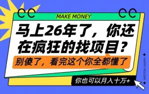 26年了,不要再疯狂的找项目了,看完这个你也可以月入十个W【揭秘】-21资源库