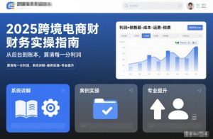 2025跨境电商财务实操指南,从后台到账本,算清每一分利润,系统讲解-案例实操-专业提升-21资源库