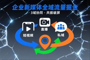 短视频全域商业模式，企业新媒体全域流量掘金，3域协同，共振破屏，短视频-直播-私域-地域-21资源库