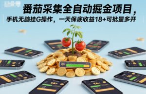 番茄采集全自动掘金项目,手机无脑挂G操作,一天保底收益18+可批量多开【揭秘】-21资源库
