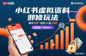小红书虚拟资料邪修玩法，单价68，轻松入账3W，信息差玩法，市场庞大-21资源库