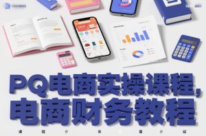 PQ电商实操课程,电商财务教程-21资源库