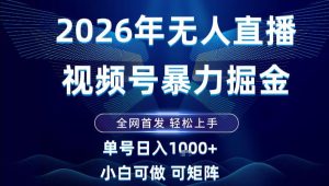 2026最新视频号无人直播掘金,全网首发,小白可以玩,长期稳定日入1k+【揭秘】-21资源库