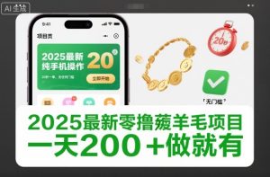 2025最新零撸薅羊毛项目,纯手机操作,20秒一单,无任何门槛,一天200+做就有【揭秘】-21资源库