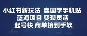 小红书新玩法，卖国学手机贴，蓝海项目，变现灵活，起号快，商单接到手软-21资源库