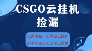 CSGO云挂G全自动捡漏，最新独家玩法，无需电脑操作，新手小白日入5张+【揭秘】-21资源库