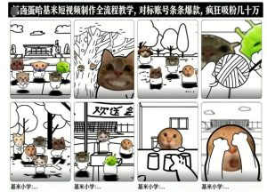 卤蛋哈基米短视频制作全流程教学，条条爆款，疯狂吸粉几十万-21资源库