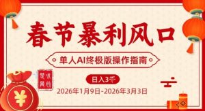 春节暴利风口项目，单人AI落地翻身终极版实操-21资源库