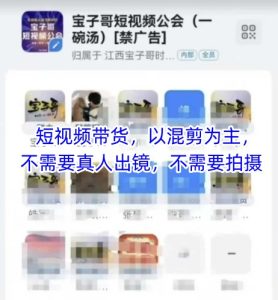 宝子哥头部团队短视频带货，以混剪为主，不需要真人出镜，不需要拍摄【更新12月】-21资源库