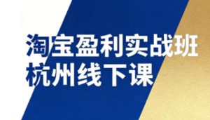 淘宝盈利实战班杭州线下课12月26-28日(音频+字幕),帮你掌握SOP流程+12门核心技术-21资源库