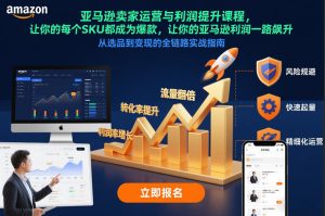 亚马逊卖家运营与利润提升课程，让你的每个SKU都成为爆款，让你的亚马逊利润一路飙升（更新12月）-21资源库