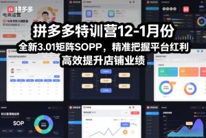 拼多多特训营12-1月份，全新3.01矩阵Sop，精准把握平台红利，高效提升店铺业绩-21资源库