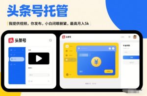 头条号AI托管，我提供视频，你发布，小白闭眼躺賺，最高月入5k+【揭秘】-21资源库