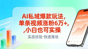 AI私域爆款玩法，单条视频涨粉6W+，小白也可实操-21资源库
