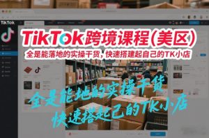 TikTok跨境课程（美区），全是能落地的实操干货，快速搭建起自己的TK小店-21资源库