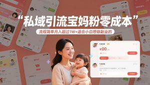 私域引流宝妈粉零成本流程简单月入超过1W+适合小白想做副业的-21资源库