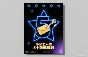 付费文章：小众之人的5个隐藏福利-21资源库