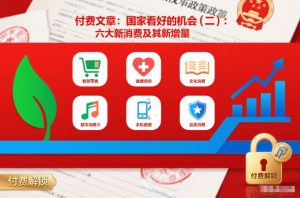 付费文章:国家看好的机会(二):六大新消费及其新增量-21资源库