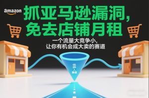 抓亚马逊漏洞,免去店铺月租,一个流量大竞争小,让你有机会成大卖的赛道-21资源库