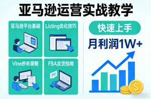 亚马逊运营实战教学，亚马逊平台+Listing优化+Vine秒杀+FBA发货等，快速上手，实现店铺月利润1W-21资源库
