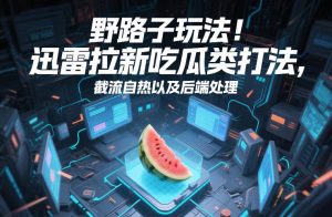 野路子玩法！迅雷拉新吃瓜类打法，截流自热以及后端处理-21资源库