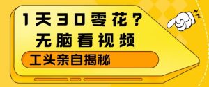 1天30零花？无脑看视频，大佬亲自揭秘-21资源库