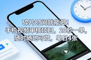 碎片时间就能做！手机视频审核项目，20秒一单，随时随地可做，单日4张+【揭秘】-21资源库