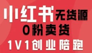 小红书无货源0粉电商课，开店准备、选品策略、笔记撰写、视频剪辑、数据分析、账号打造、资料文档（更新26年2月）-21资源库