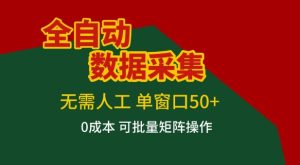 全自动数据采集项目，无需人工，单窗口可达50+收益，操作简单无难度，一个人也能轻松实现矩阵【揭秘】-21资源库