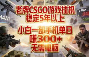老牌CSGO游戏挂G，稳定5年以上，小白一部手机单日賺3张+，无需电脑【揭秘】-21资源库