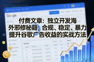付费文章：独立开发海外邪修秘籍，合规、稳定、暴力提升谷歌广告收益的实战方法-21资源库