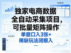 独家电商数据全自动采集项目，可批量矩阵操作，单窗口日入3张+，稀缺玩法闭眼入【揭秘】-21资源库
