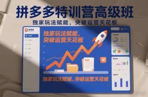 拼多多特训营高阶班，独家玩法赋能，突破运营天花板（更新26年3月13日）-21资源库