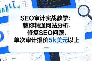 SEO审计实战教学：教你精通网站分析，修复SEO问题，单次审计报价5k美元以上-21资源库