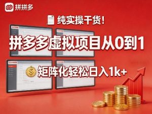 纯实操干货！拼多多虚拟项目从0到1，矩阵化轻松日入1k+【揭秘】-21资源库