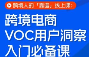 跨境电商VOC用户洞察入门必备课，跨境人的靠谱线上课-21资源库