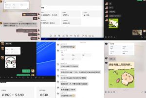 雷神加速器项目模拟器_无脑1分钟1条视频矩阵_疯狂报单打法【焚诀】-21资源库