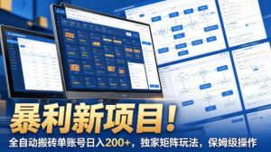 暴利新项目!全自动搬砖单账号日入200+,独家矩阵玩法,保姆级操作【揭秘】-21资源库