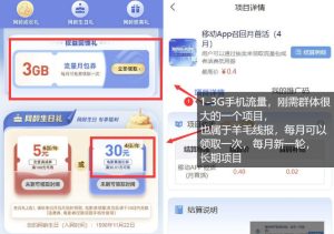 手机流量领取推广_每月一轮，刚需类的长期项目-21资源库