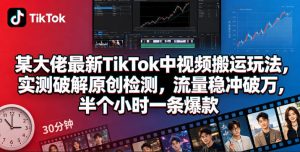 某大佬最新TikTok中视频搬运玩法,实测破解原创检测,流量稳冲破万,半个小时一条爆款-21资源库