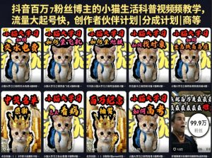 抖音百万粉丝博主的小猫生活科普视频教学,流量大起号快,创作者伙伴计划|分成计划|商单|收徒等-21资源库