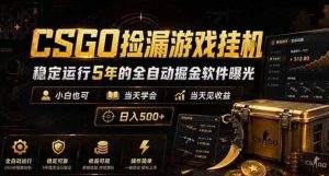 CSGO捡漏游戏挂G,稳定运行5年的全自动掘金软件曝光,小白也可当天学会,当天见收益,日入500+【揭秘】-21资源库