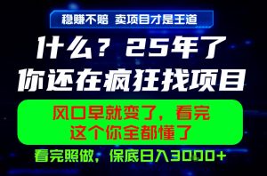26年,请不要疯狂的找项目做了!卖项目才是真的稳賺不赔,看完照做,保底日入1k+【揭秘】-21资源库