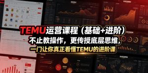 TEMU运营课程（基础+进阶），不止教操作，更传授底层思维，一门让你真正看懂TEMU的进阶课-21资源库